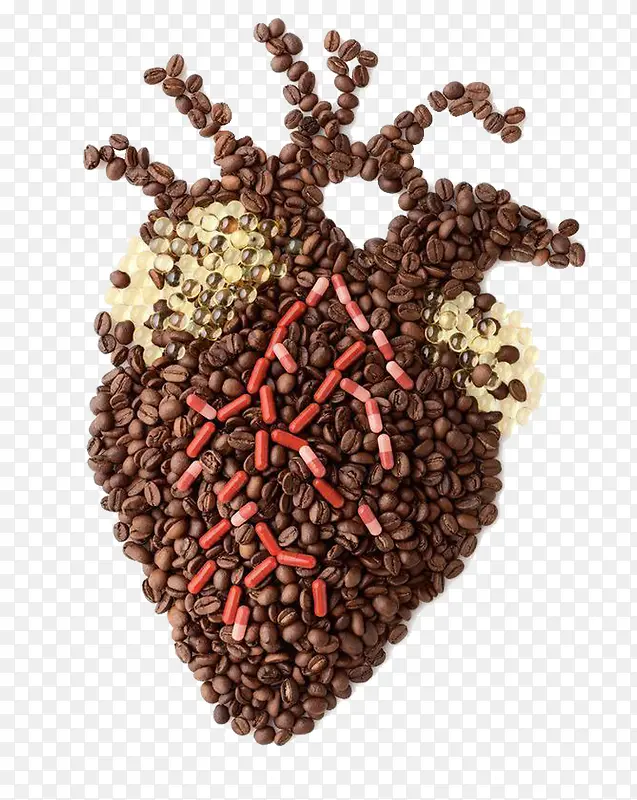 咖啡豆心脏器官