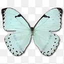 淡蓝色蝴蝶元素