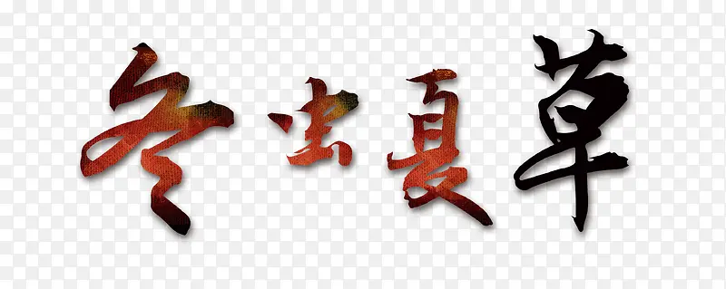 冬虫夏草