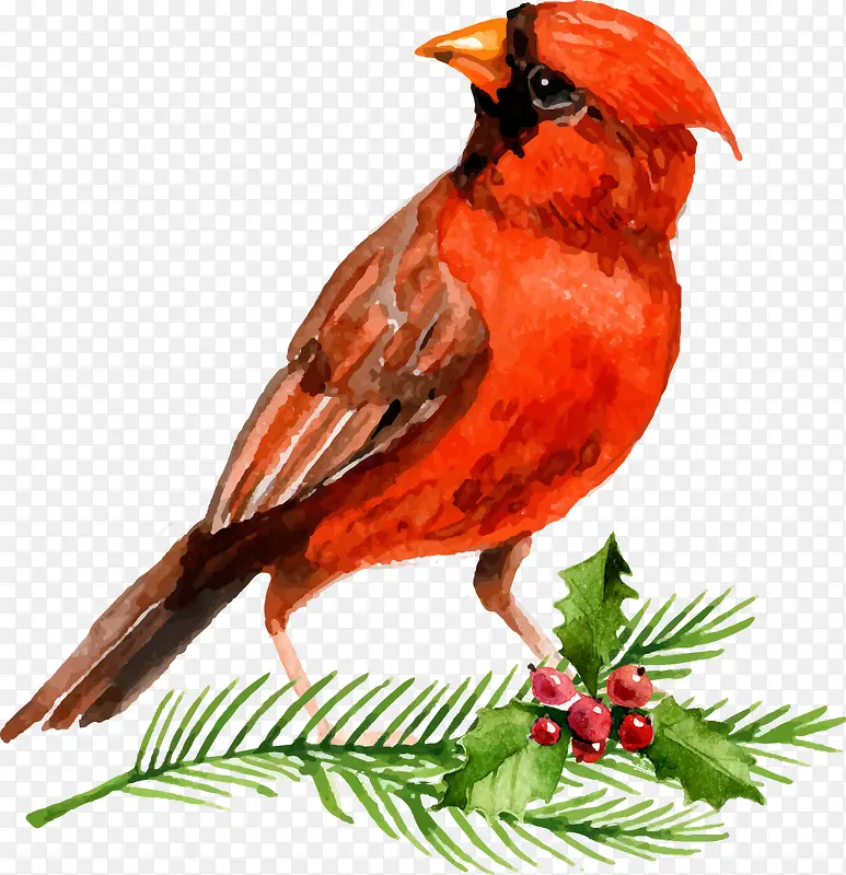 矢量手绘插画红色的小鸟