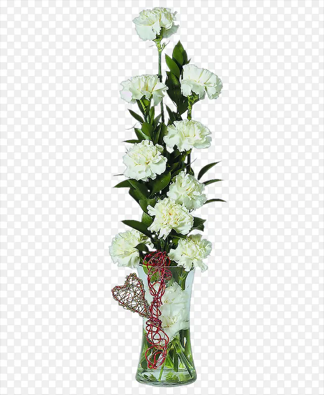 高清摄影白色菊花