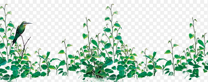 绿色植物装饰PNG图片素材下载_图片编号yrmwnmgk-免抠素材网