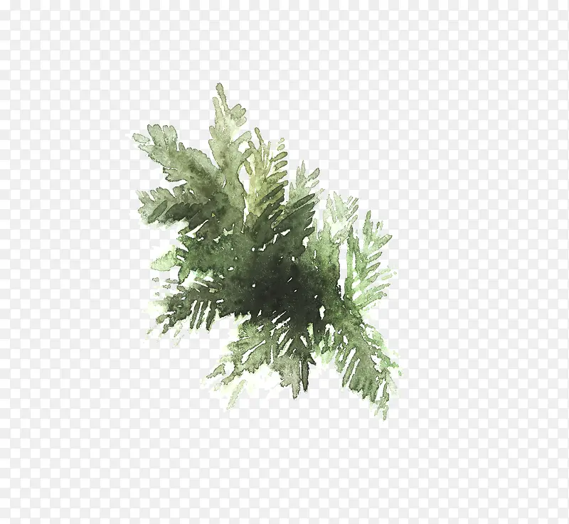 水彩手绘深色叶子