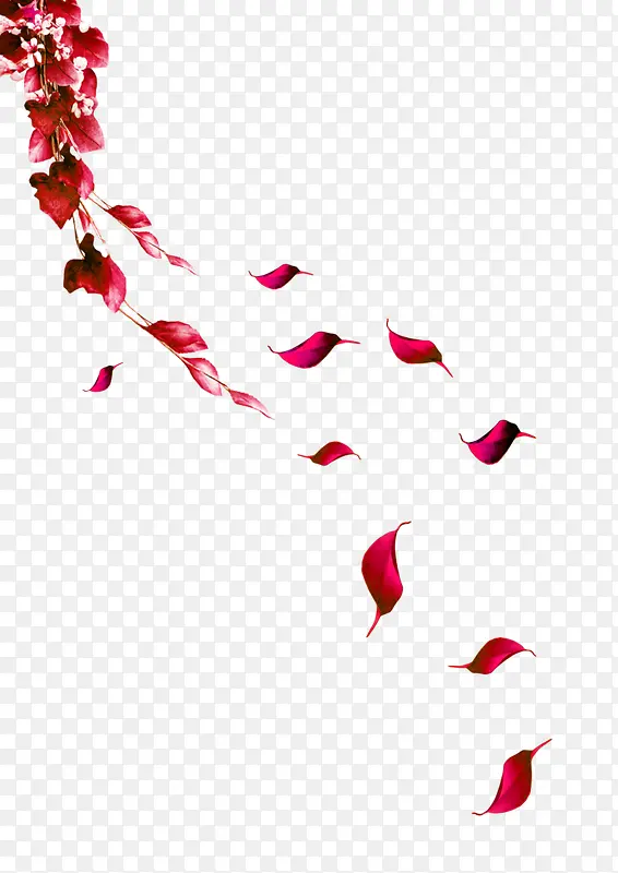 红色藤蔓树叶飘落装饰图案
