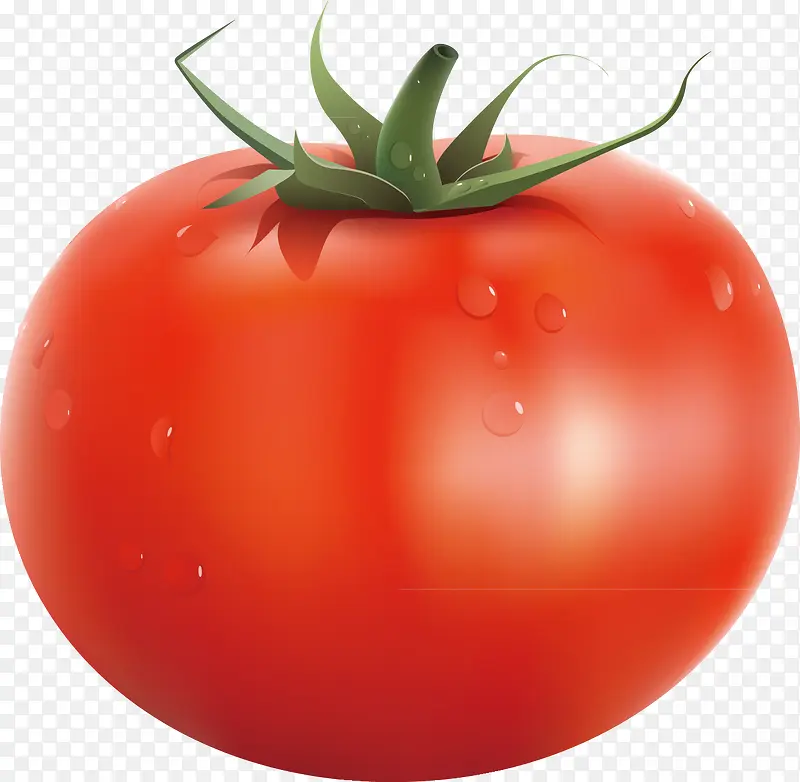 红柿子健康有机