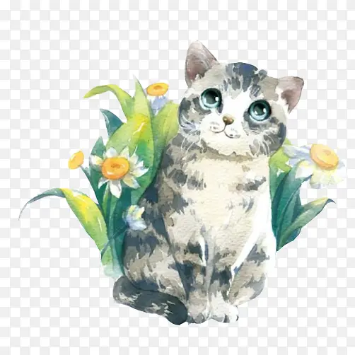 藏在草丛里的可爱猫咪