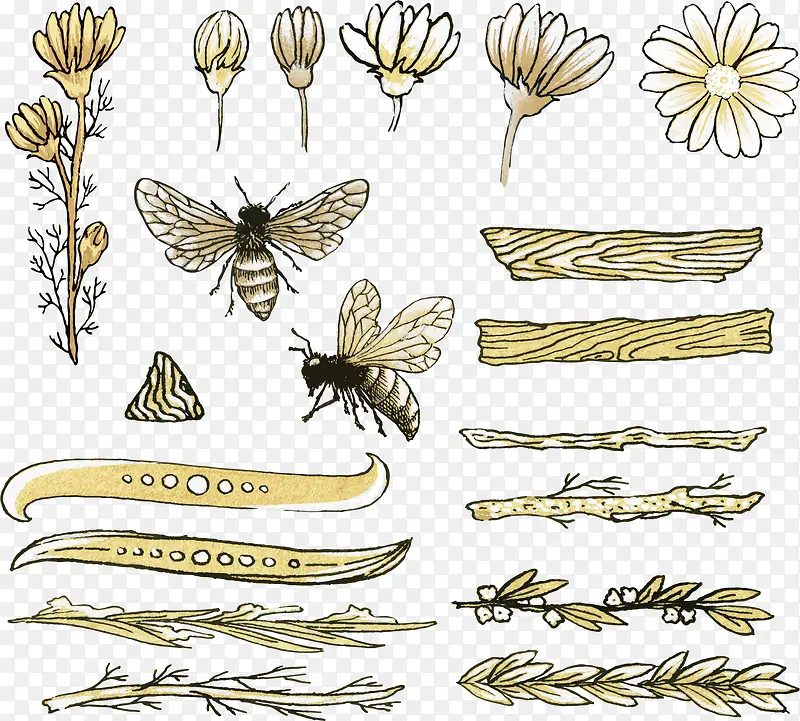 矢量图蜜蜂