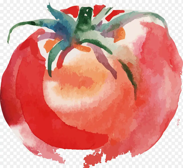 西红柿装饰设计图案