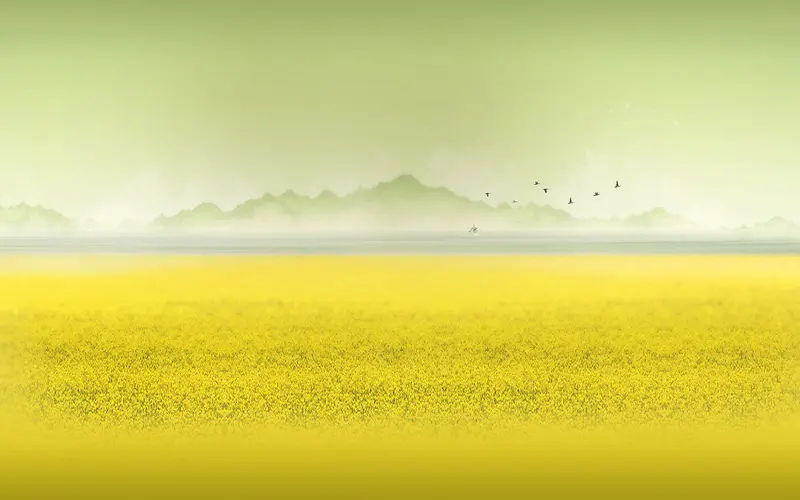 黄色油菜花渲染效果背景素材