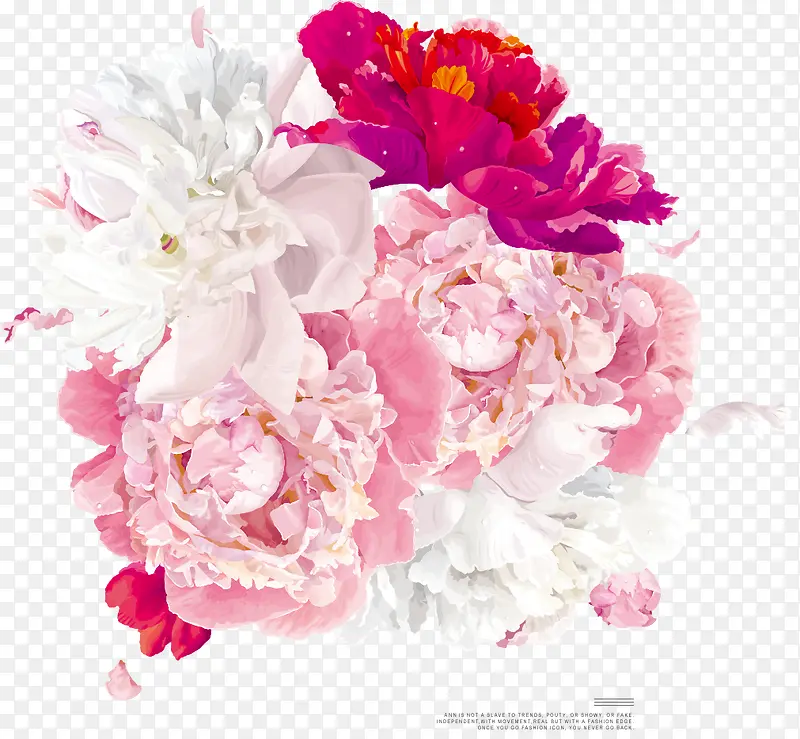 粉色白色绽放花朵
