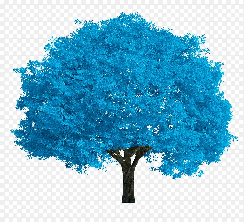 蓝色的树