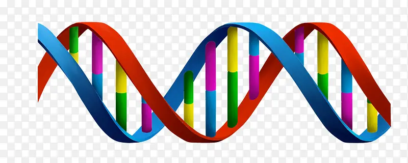彩色的DNA