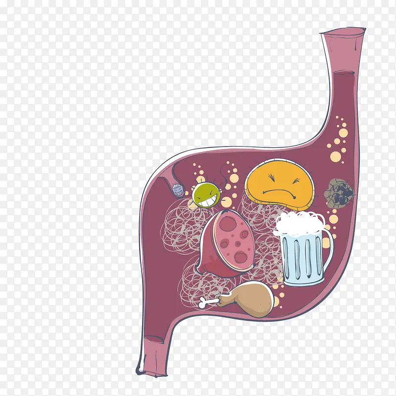 充满食物的胃