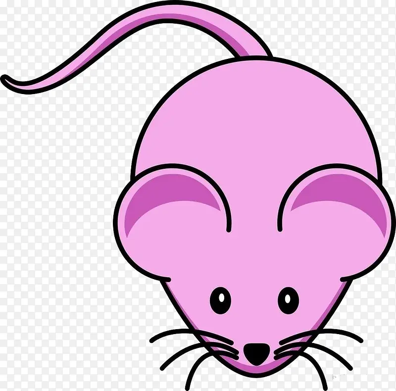 粉紫色的小老鼠