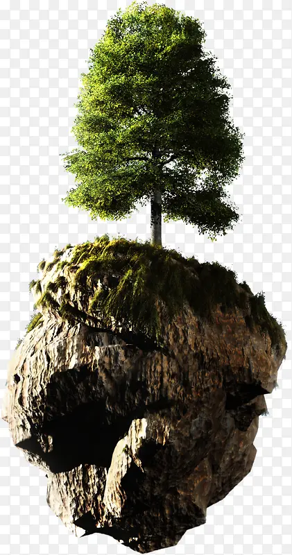 浮空石头上的茂盛大树背景