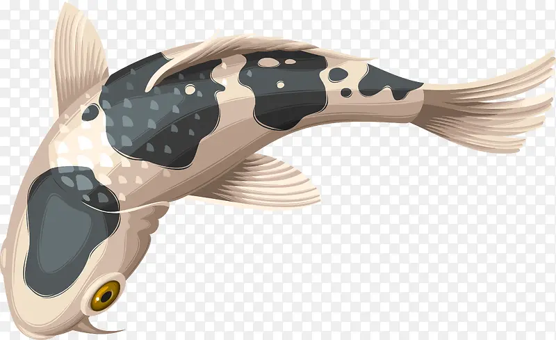 矢量锦鲤动物素材图