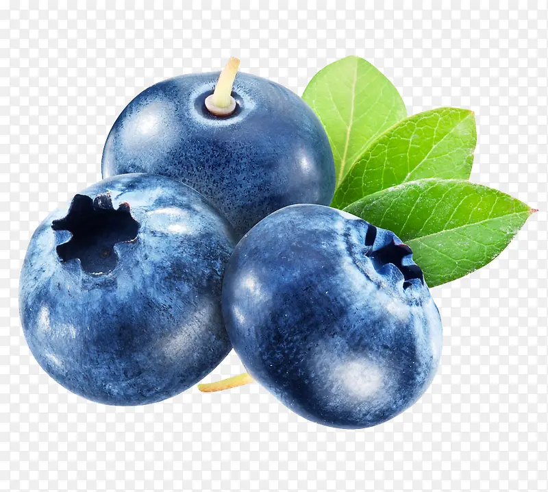 蓝色蓝莓熊果苷素材