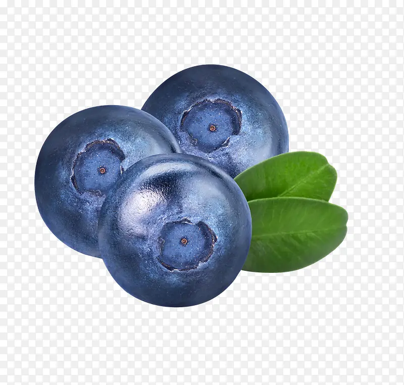 大颗蓝莓熊果苷素材