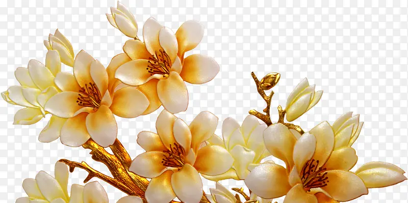 黄白色古风花朵插图