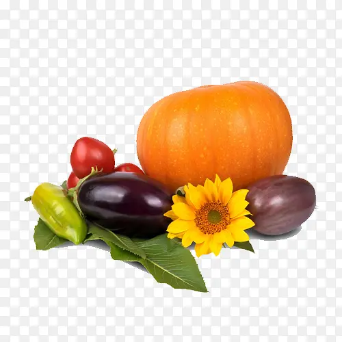 蔬菜，南瓜，茄子，西红柿
