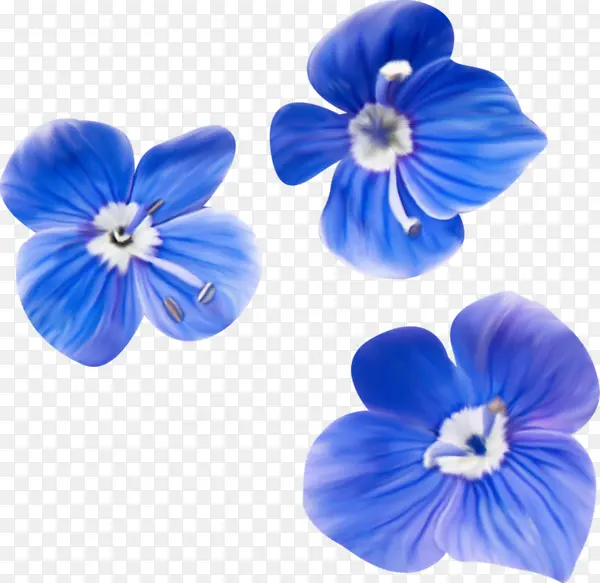 三朵蓝色的花
