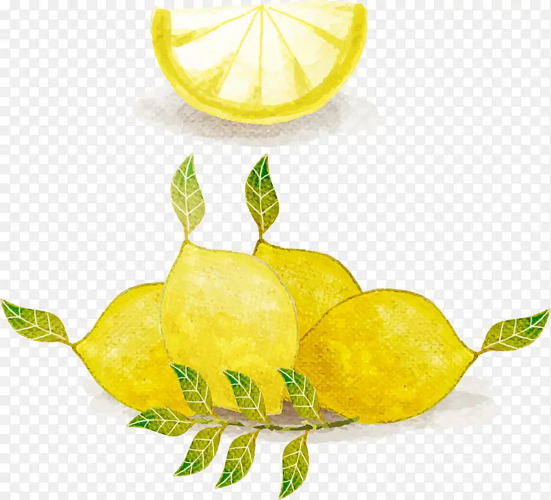 水彩柠檬矢量图