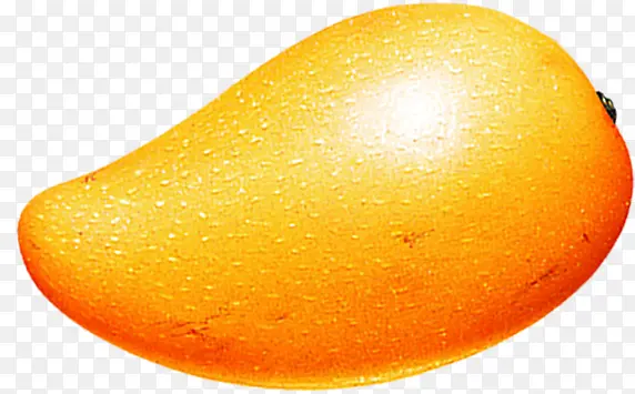 手绘新鲜的金黄色的芒果