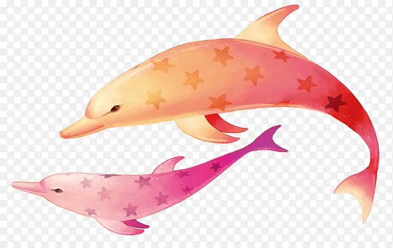 彩色小海豚