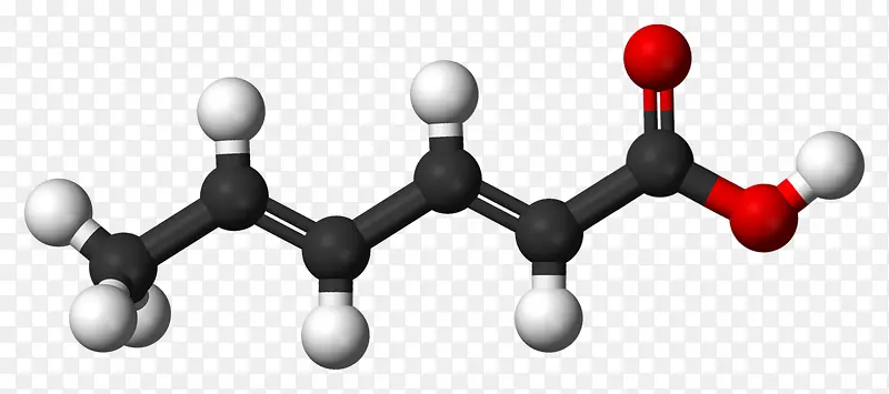 高分子结构