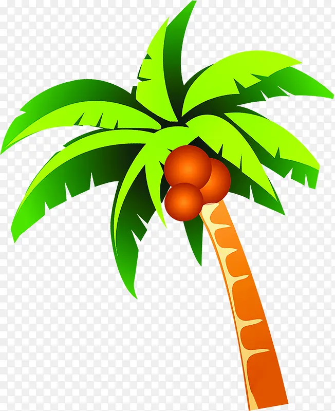 一颗三个椰子椰树夏天