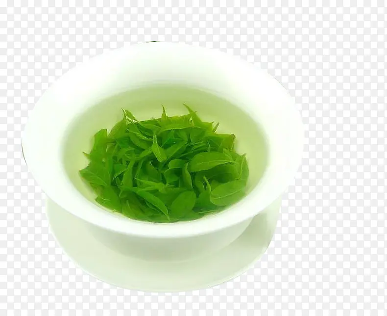 四川大叶苦丁茶素材