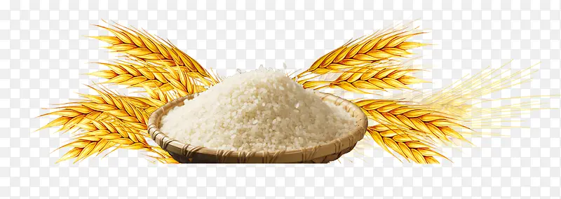 小麦大米元素