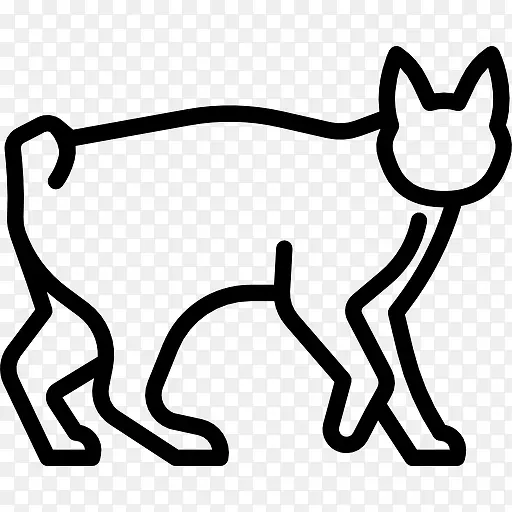日本短尾猫图标