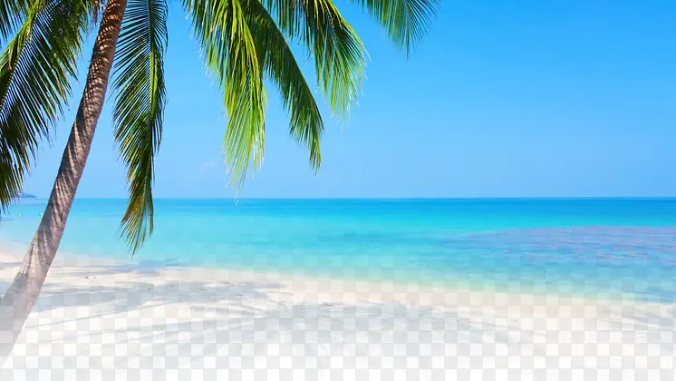 摄影沙滩蓝色海边椰子树