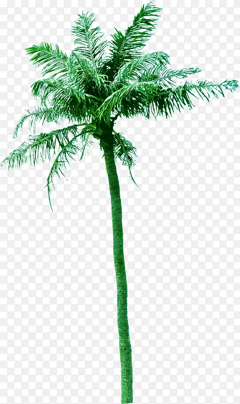 创意摄影海边的绿色椰子树
