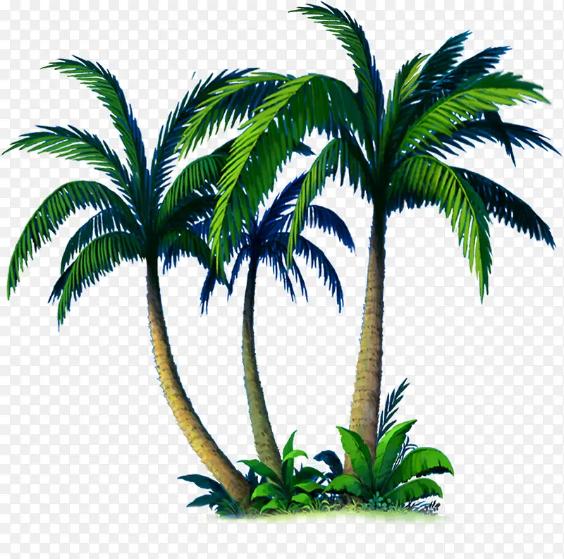 摄影海报沙滩椰子树效果