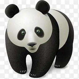 熊猫3D高清动物PNG图标