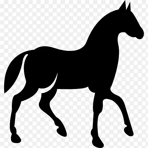 黑色的马在行走的姿势侧视图图标