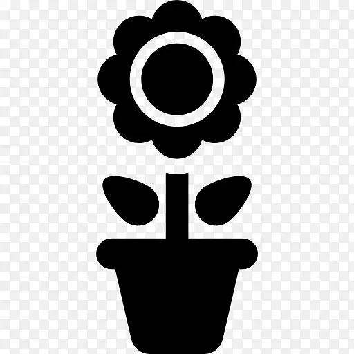 菊花盆栽图标