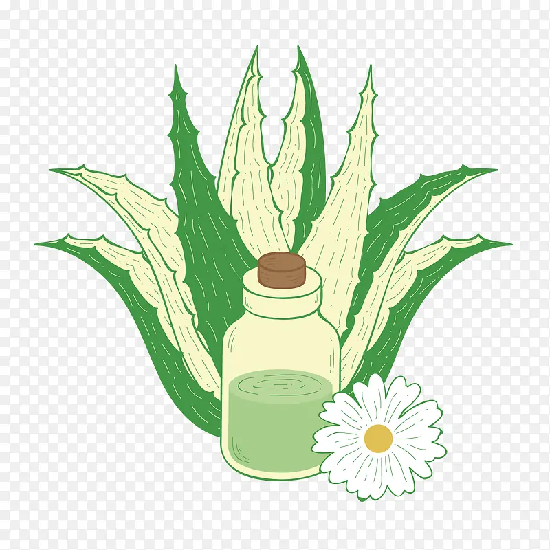 矢量芦荟汁