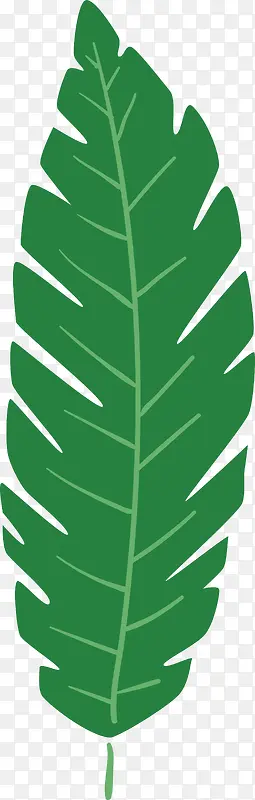 卡通绿色棕榈叶叶子图