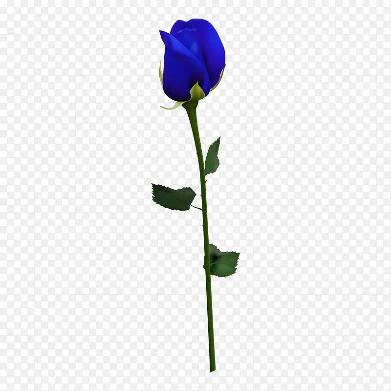 一支蓝色玫瑰