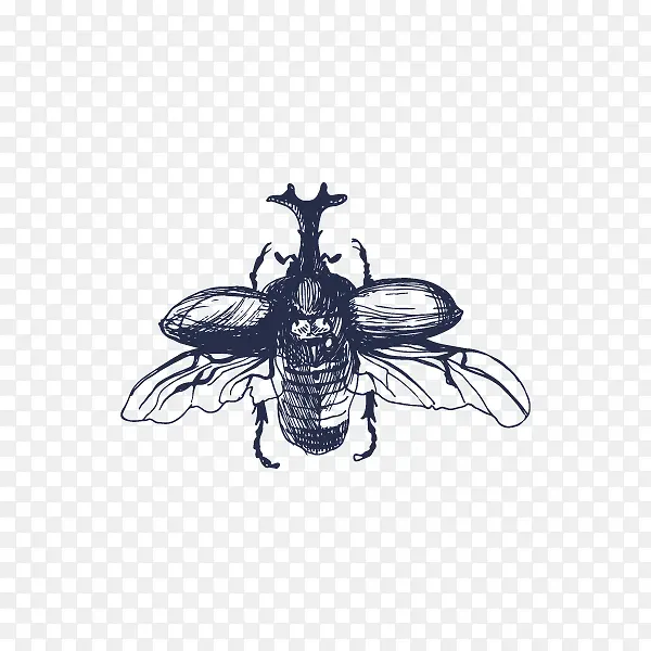 动物昆虫 单色 黑色