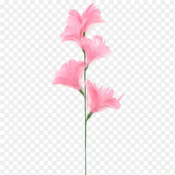 手绘粉色水彩小清新花卉