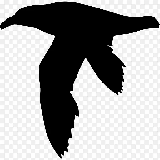 鸟的海燕形图标