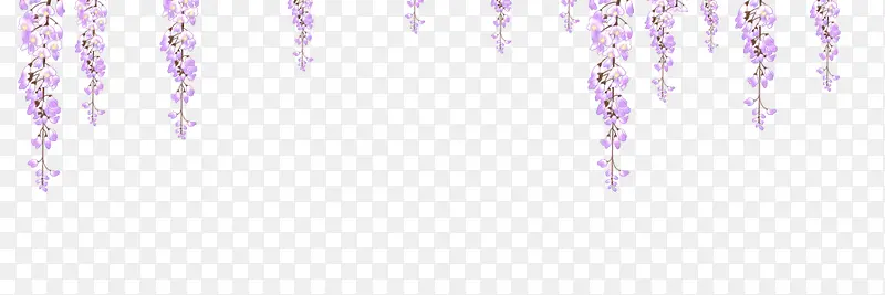 垂下来的紫色薰衣草装饰