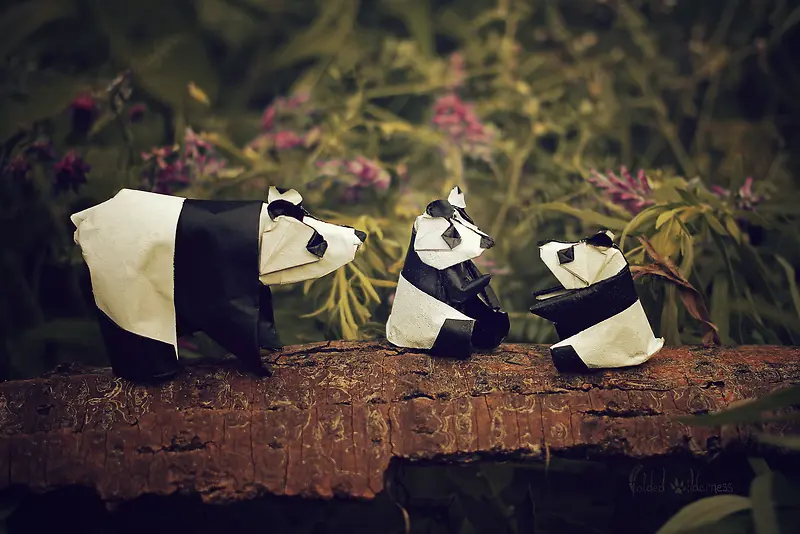 熊猫折纸精品设计