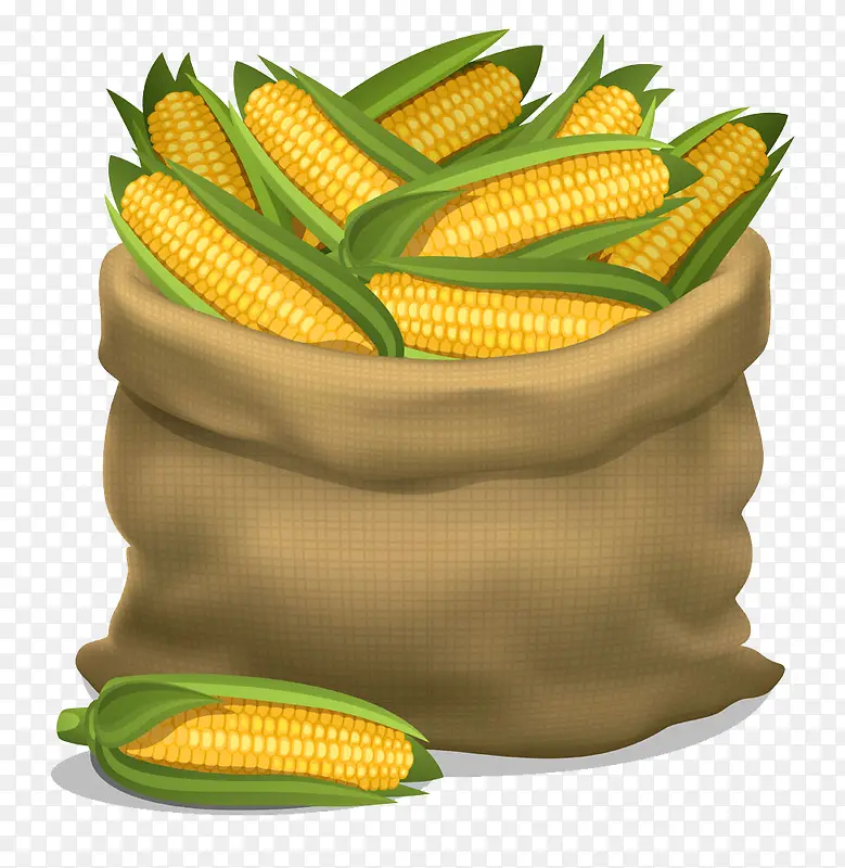 鲜采摘玉米