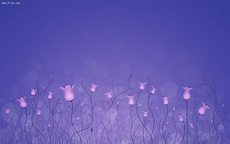 紫色唯美灯光电脑背景