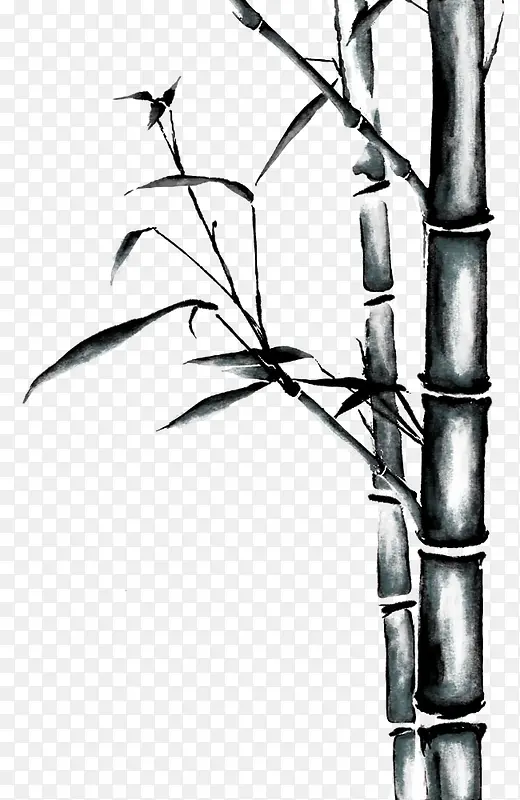 竹叶图片手绘竹子图片 卡通手绘